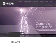 Tablet Screenshot of conapri.org